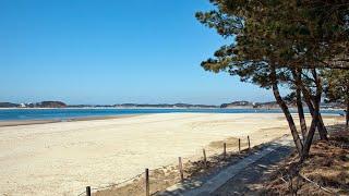 충청남도 태안 백사장해수욕장 Chungcheongnam do Taean Sandy Beach