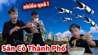 Hậu Cáo - Bữa Sáng Định Mệnh Săn Cò Trên Sông Thành Phố