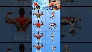  Back Workout for Beginners #back  #backworkout #shorts