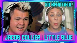 First Time Reaction to Jacob Collier - Little Blue | THE WOLF HUNTERZ Jon and Dolly