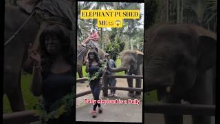 Baby Elephant in Bali PUSHED ME.  LOL. #youtubehighfive #bali #elephantsanctuary