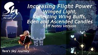 Sky Children of the Light: Wing Buffs and Growing Flight