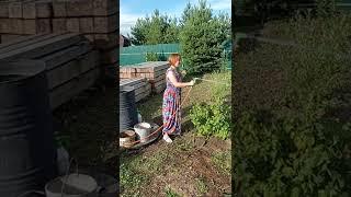 В деревне весело. Всегда есть чем заняться. 29.07.2022. Иркутск.