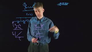 BioEssays: Do Cell Membranes Flow Like Honey or Jiggle Like Jello?