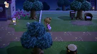 Hi ! Sharing my love of Animal Crossing New Horizons and my all squirrel neighborhood! Enjoy!