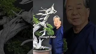 Why You Should Own A Bonsai Tree 