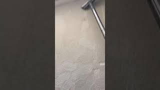 Cleaning clean carpet with ultra steam carpet clean