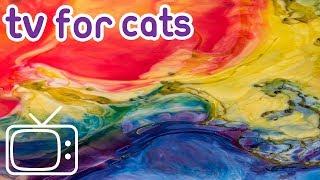 Cat TV: 8 Hours of stimulating abstract footage to entertain your cat!