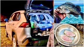 Camping in RAV4 LE AWD - Fishing Catch & Cook