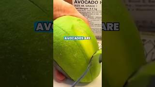 Why You Should Watch This Before Eating Avocado #healthburo