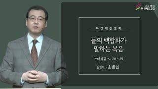 들의 백합화가 말하는 복음 / 마태복음 6:28-29 / 마산재건교회