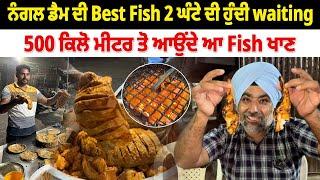 ਨੰਗਲ ਡੈਮ ਦੀ Best Fish 2 ਘੰਟੇ ਦੀ ਹੁੰਦੀ waiting | Amazing Fish Nangal Dam | Pinda Vale Vlogger