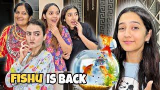 Fishu Wapis Agai | Hira say larai hogai | My New Pet Fishu mishu | Rabia Faisal | Sistology