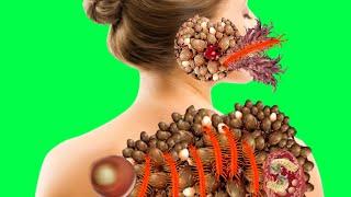 ASMR treatment animation video