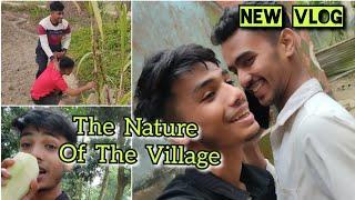 The Nature Of  The Village / M R H Rafi Vlog / New Volg /