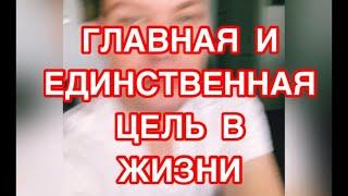 Единственная главная цель в жизни .