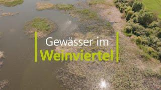 Gewässer im Weinviertel