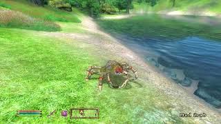 Oblivion crab