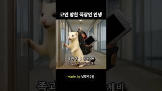 코인 망한 신입사원 인생 조언 해주는 직장 선배 #직장인브이로그 #신입사원브이로그 #귀여운동물