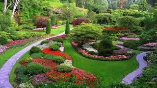 Modern Landscape Design Ideas