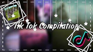 TikTok Compliation Wildcraft | Тик Ток подборка Вайлд Крафт | ItzDrakon4ik (перезалив из за ап)