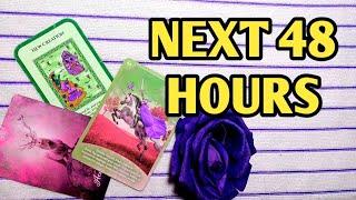 NEXT 48 HOURS-क्या होगा आगे ?TAROT LOVERS 111 |  TAROT CARD READING IN HINDI‍️