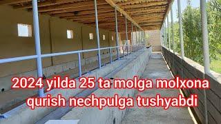 2024 YIL 25 TA MOLGA MOLHONA QILISH QANCHAGA TUSHYABDI