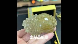 清透料、滿髮的的金髮晶龍龜。