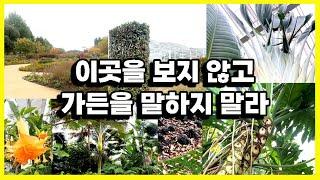 최고의 조경건축가 디자인 정원의 시작부터 끝까지#가든#plants #온실 정원#