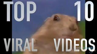 Top 10 Viral Videos (Quickie)