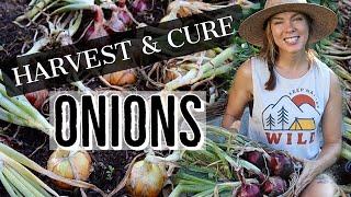 How to Harvest and Cure Onions for Long Term Storage