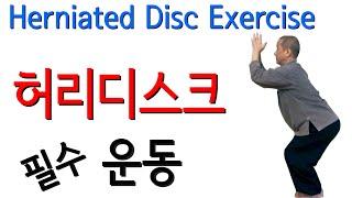 허리디스크 재활운동 통증완화  Herniated Disc Exercises Slipped Disc Exercises Bulging Disc