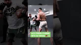 Pereira sparring with Tuivasa  (via alexpoatanpereira/YT) #UFC303