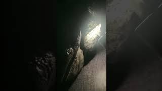 缅甸翡翠.今天分享一块莫西沙脱沙玻璃种的全赌料#翡翠原石 #翡翠 #緬甸翡翠 #玉石 #玉 #赌石 #玻璃种 #玻璃种翡翠