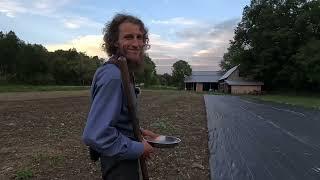 Planting Dinosaur Kale at Titus Morris’ Henson Creek Farm