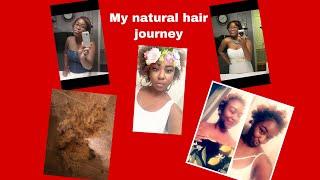 MY #NATURAL HAIR JOURNEY 2011- Present |C.Janeè|