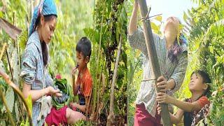 The peaceful life of two sisters picking strange fruits and making dishes#survival