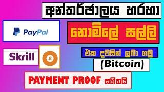 Earn Money Easily In Sinhala |new site 2020| Sachiya Lk | payment proof