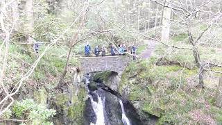 group dunskey bridge BLS lichen society visit 2018