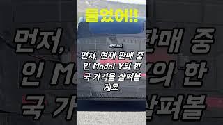 모델 y 주니퍼 테슬라, 지금 사야 할까? 테슬라 모델 주니퍼 대폭발 예고출시 일정