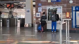 Seeing the Gautrain