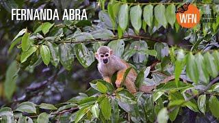 Fernanda Abra | Sir David Attenborough presents 2024 Whitley Award winner | Brazil