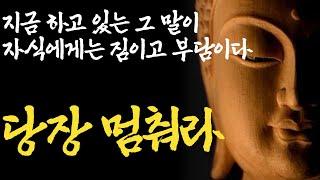 자식에게 '평생' 상처로 남는 미성숙한 부모들의 말버릇|불안하기만 한 내 자식|주변 사람들에게 너무 잘해주지 마라|불교|부처님말씀|즉문즉설|석가모니|ASMR|법정|법륜스님|부모자식