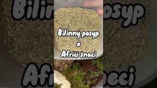 Bylinný posyp - Výživa šneků. #feeding #animals #foryou #snails #african #africansnail #viral