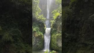 The Multnomah Falls is located in Oregon State, USA is the tallest in the State #usa #oregon #travel
