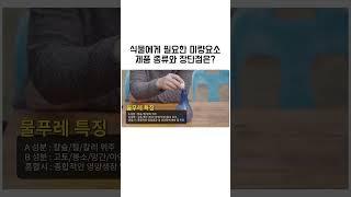 식물에게 필요한 미량요소 종류와 특징