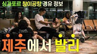 제주에서 떠나는 발리여행 제주공항국제선 싱가포르 창이공항 경유 12시간 공항노숙