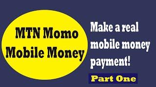 Mobile Money Integration | The Easiest way to Add MTN MOMO Mobile Money API [Part One]