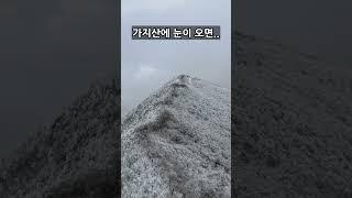 가지산에 눈이 오면 당장 가야 하는 이유!    #가지산  #중봉   #등산  #영남알프스