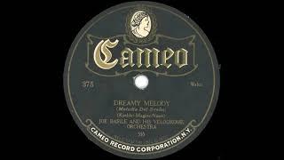 Joe Basile Velodrome Orchestra - Dreamy Melody (1923)